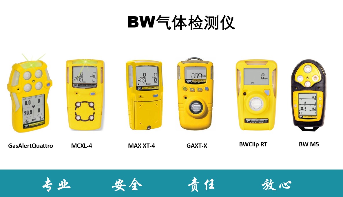 BW氣體檢測儀