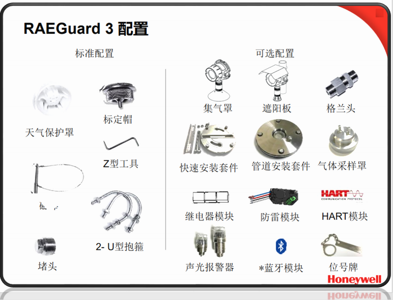 RAEGUARD3